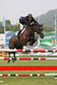 Graham Lovegrove (GBR) vence XIV CSI 3*